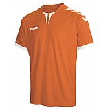Футболка Hummel CORE SS POLY JERSEY оранжевая фото товара