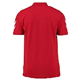 Футболка поло дитяча CORE COTTON POLO 102-431-3062-164-176 Підлітки і діти Унісекс ЧЕРВОНИЙ