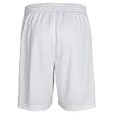 Шорти CORE POLY SHORTS 011-083-9001-L Дорослі Чоловіча БІЛИЙ