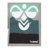 Футболка Hummel HMLVERNER T / SHIRT S / S серая фото товара
