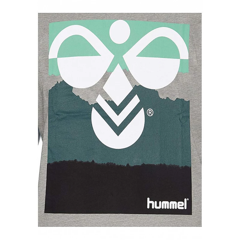 Футболка Hummel HMLVERNER T / SHIRT S / S серая фото товара