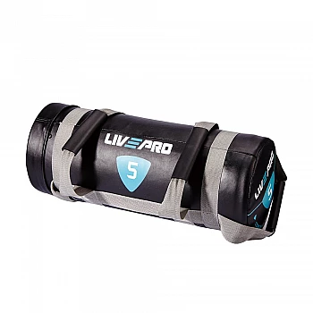 Мешок для кроссфита LivePro POWER BAG черный/серый 5 кг