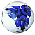 Мяч футбольный Competition Ball бело-сине-черный [№5]
