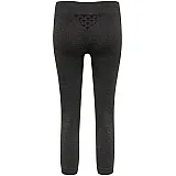 Тайтсы CI SEAMLESS 3/4 TIGHTS 208-079-1502-M/L Взрослые Женский ТЕМНО-СЕРЫЙ