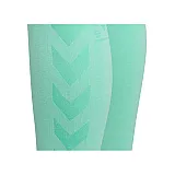 Тайтси CLASSIC BEE CI SEAMLESS TIGHTS 011-336-6211-XL/XXL Дорослі Жіноча М'ЯТНИЙ