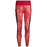 Тайтси жіночі EVIE 7-8 TIGHTS 011-292-4490-XL Дорослі Жіноча МАЛИНОВИЙ