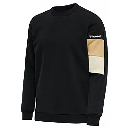 Свитшот AIDAN SWEATSHIRT 208-459-2001-S Взрослые Мужской ЧЕРНЫЙ