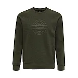 Свитшот DARE SWEAT SHIRT 921-045-6297-M Взрослые Мужской ХАКИ