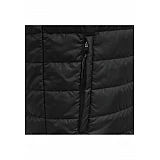 Жилетка чоловіча NORTH WAISTCOAT 206-691-1006-S Дорослі Чоловіча ЧОРНИЙ