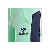 Шорты hmlNIRVANA 206-374-6194-L Взрослые Женский МЯТНЫЙ