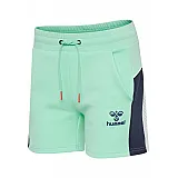 Шорты hmlNIRVANA 206-374-6194-S Взрослые Женский МЯТНЫЙ