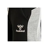 Шорти hmlNIRVANA 206-374-2001-XL Дорослі Жіноча ЧОРНИЙ