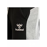 Шорты hmlNIRVANA 206-374-2001-XS Взрослые Женский ЧЕРНЫЙ
