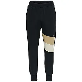 Штани AIDAN REGULAR PANTS 208-461-2001-S Дорослі Чоловіча ЧОРНИЙ