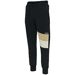 Штани AIDAN REGULAR PANTS 208-461-2001-S Дорослі Чоловіча ЧОРНИЙ