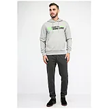 Худі WES SWEAT HOODIE 033-398-2006-L Дорослі Чоловіча СІРИЙ