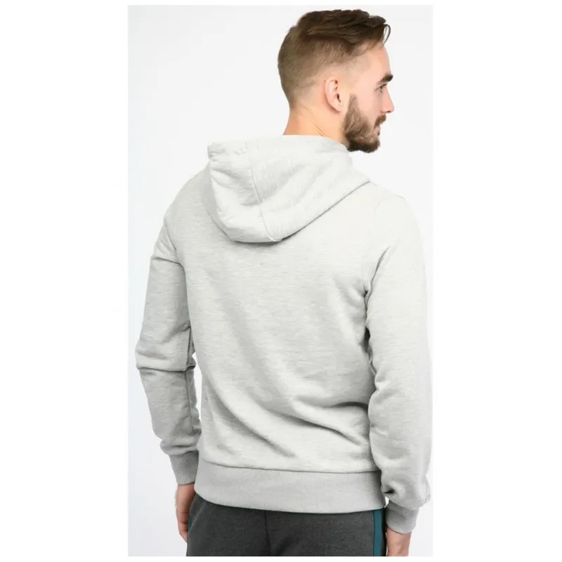 Худі WES SWEAT HOODIE 033-398-2006-S Дорослі Чоловіча СІРИЙ