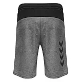 Шорты TROPPER SHORTS 206-274-2006-S Взрослые Мужской СЕРЫЙ
