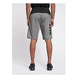 Шорты TROPPER SHORTS 206-274-2006-S Взрослые Мужской СЕРЫЙ