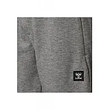 Шорты TROPPER SHORTS 206-274-2006-XL Взрослые Мужской СЕРЫЙ