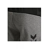 Шорты TROPPER SHORTS 206-274-2006-XL Взрослые Мужской СЕРЫЙ