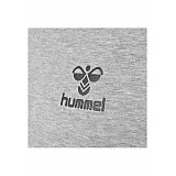 Світшоти hmlMAESTRO 204-271-2847-S Дорослі Чоловіча