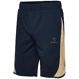 Шорти HMLRYAN 202-966-1009-S Дорослі Чоловіча ТЕМНО-СИНІЙ