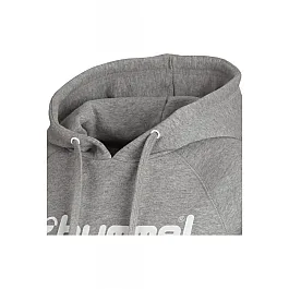 Худи CLASSIC BEE WOMENS HOODIE 036-310-2006-XXL Взрослые Женский СЕРЫЙ