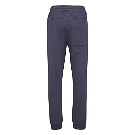 Штаны CLASSIC BEE AAGE PANTS 037-110-8739-S Взрослые Мужской ТЕМНО-ФИОЛЕТОВЫЙ