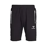 Шорты  CLASSIC BEE AAGE SHORTS 010-810-2001-XL Взрослые Мужской ЧЕРНЫЙ