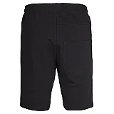 Шорты  CLASSIC BEE AAGE SHORTS 010-810-2001-M Взрослые Мужской ЧЕРНЫЙ
