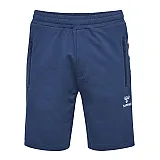 Шорты  CLASSIC BEE AAGE SHORTS 010-810-8744-XL Взрослые Мужской СИНИЙ