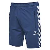 Шорты  CLASSIC BEE AAGE SHORTS 010-810-8744-M Взрослые Мужской СИНИЙ