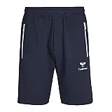 Шорти CLASSIC BEE AAGE SHORTS 010-810-7666-XL Дорослі Чоловіча ТЕМНО-СИНІЙ