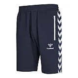 Шорти CLASSIC BEE AAGE SHORTS 010-810-7666-XL Дорослі Чоловіча ТЕМНО-СИНІЙ