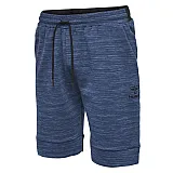 Шорти CLASSIC BEE HMLGUY SHORTS 200-178-8997-S Дорослі Чоловіча СИНІЙ