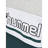 Світшоти HMLMATTI SWEATSHIRT 200-463-6712-S Дорослі Чоловіча ТЕМНО-ЗЕЛЕНИЙ
