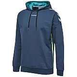 Худи REF TROPHY COTTON HODDIE 033-541-8671-M Взрослые Мужской СИНИЙ