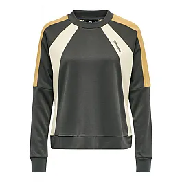 Світшоти CHRISTY SWEATSHIRT 207-977-1025-XS Дорослі Жіноча ТЕМНО-СІРИЙ