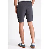 Шорти CLASSIC BEE AAGE SHORTS 010-810-8739-S Дорослі Чоловіча ТЕМНО-ФІОЛЕТОВИЙ
