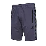 Шорти CLASSIC BEE AAGE SHORTS 010-810-8739-S Дорослі Чоловіча ТЕМНО-ФІОЛЕТОВИЙ