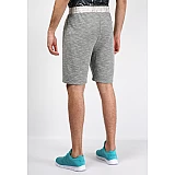 Шорти KELAH SHORTS 013-219-2006-S Дорослі Чоловіча СІРИЙ