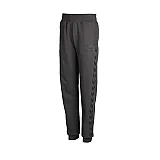 Штани CLASSIC BEE WOMENS SWEAT PANTS 039-600-2007-XXL Дорослі Чоловіча СІРИЙ