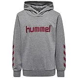 Худі KIDS KESS HOODIE NOOS 133-926-3163-110 Підлітки і діти Унісекс РОЖЕВИЙ