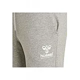 Штаны NONI REGULAR 206-525-2006-XL  Женский СЕРЫЙ