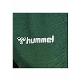 Футболка AUTHENTIC POLY JERSEY WOMAN S/S 204-921-6140-XS Взрослые Женский ЗЕЛЁНЫЙ