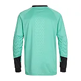 Реглан воротарський ESSENTIAL GOALKEEPER JERSEY 004-087-6605-S Дорослі Чоловіча БЛАКИТНИЙ