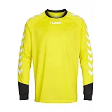 Реглан вратарский ESSENTIAL GOALKEEPER JERSEY 004-087-5269-XL Взрослые Мужской ЖЕЛТЫЙ