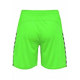 Шорты AUTHENTIC POLY SHORTS 204-924-6750-M Взрослые Мужской САЛАТОВЫЙ