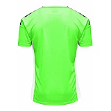 Футболка AUTHENTIC POLY JERSEY S/S 204-919-6750-L Взрослые Мужской САЛАТОВЫЙ